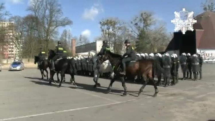 policja_konna