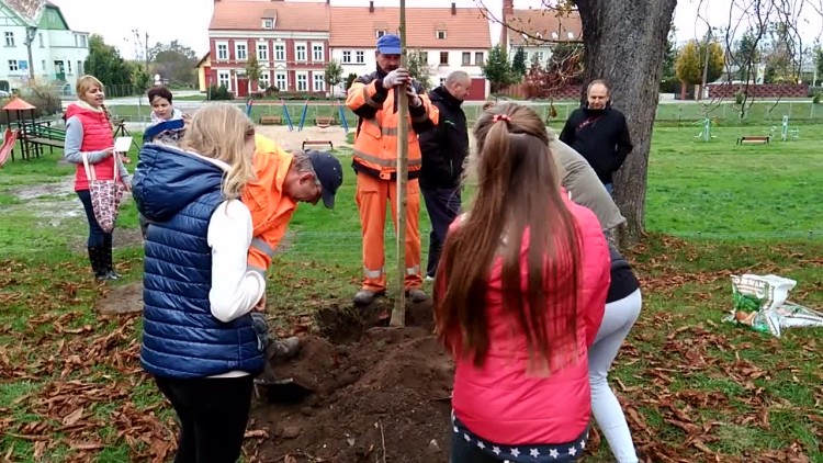 sadzenie_kasztanowcow_2.mp4
