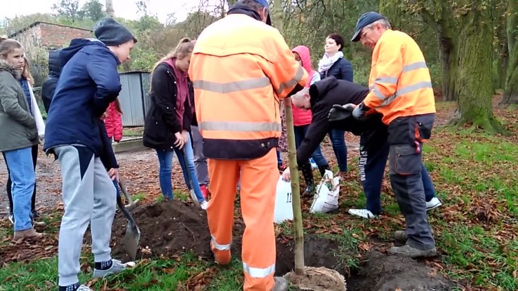 sadzenie_kasztanowcow_5.mp4