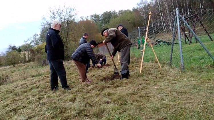 sadzenie_drzewek_siekierki_2.mp4
