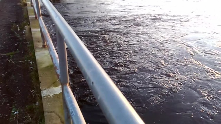 wysoki_stan_odry.mp4