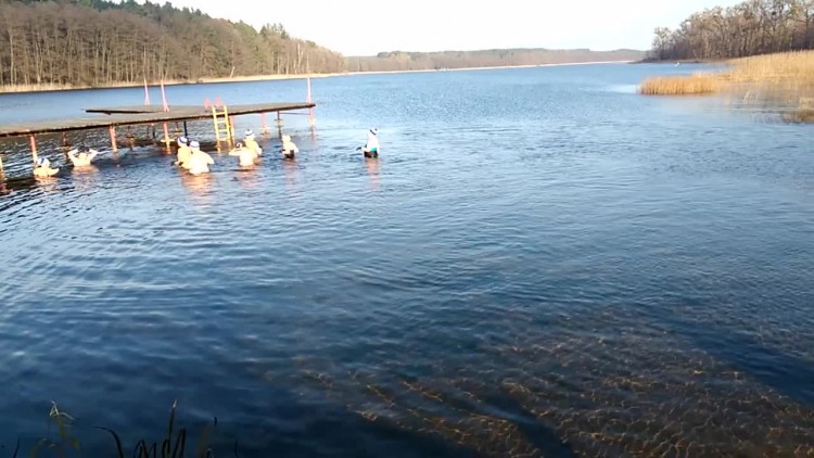 morsy_jelenin_3_xii_2017.mp4