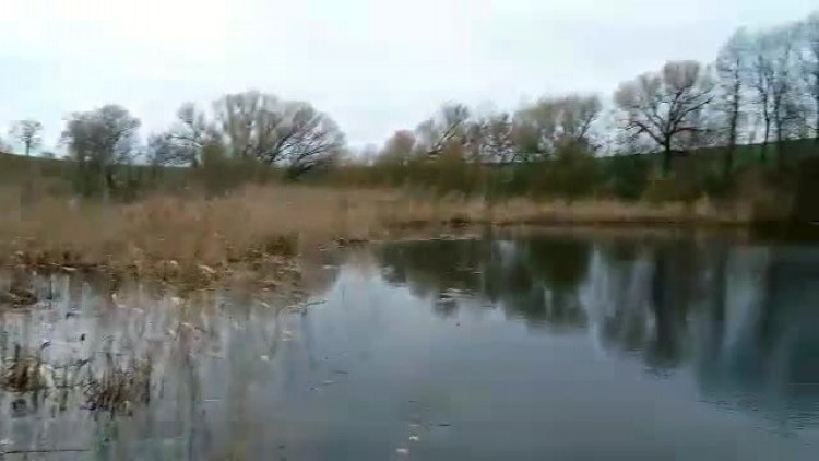 zarybianie_jeziora_karpaty_2.mp4