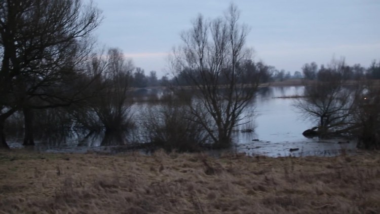 poszukiwanie_sonarem_1.mp4