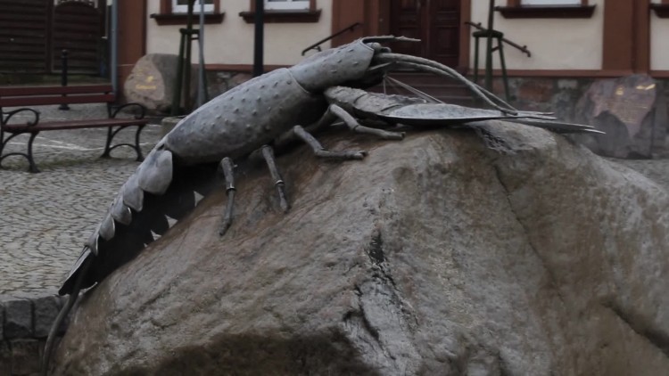 morynski_rak_szykuje_sie_do_swiat_wielkanocnych.mp4