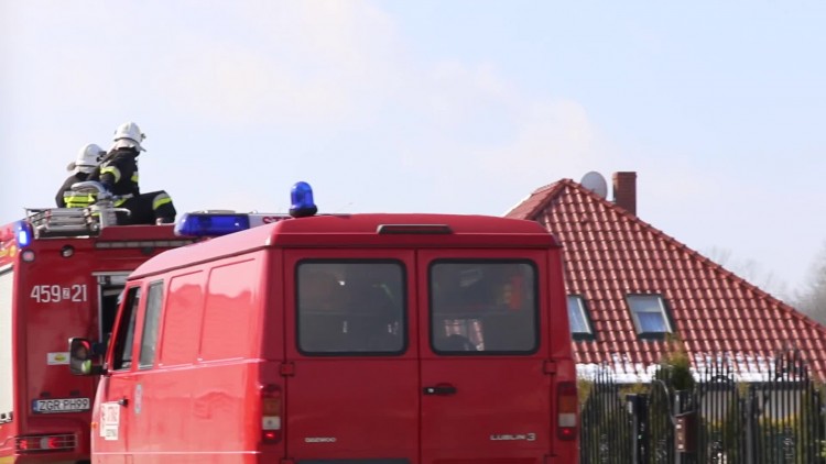 smigus-dyngus_2018_c.mp4