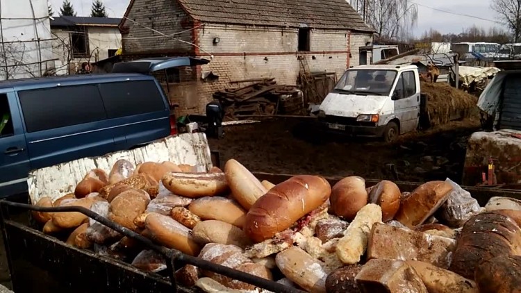 panstwowa_inspekcja_weterynaryjna_u_lpiety.mp4