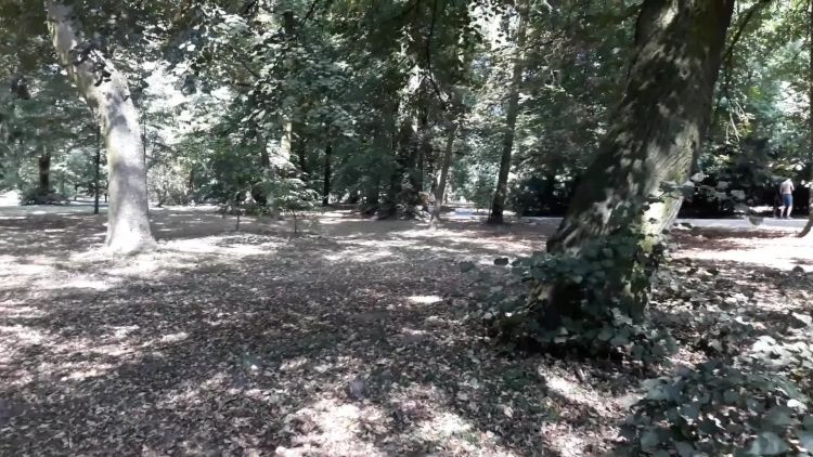 prace_w_parku_23082018.mp4