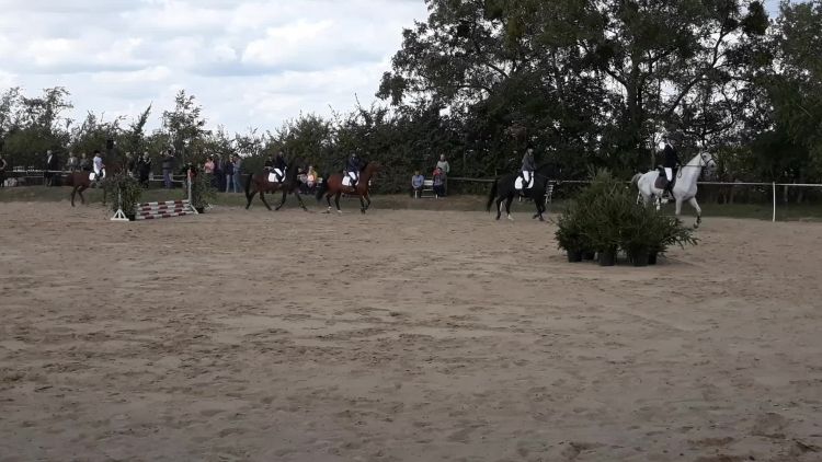skotnica_zawody_konne_1.mp4