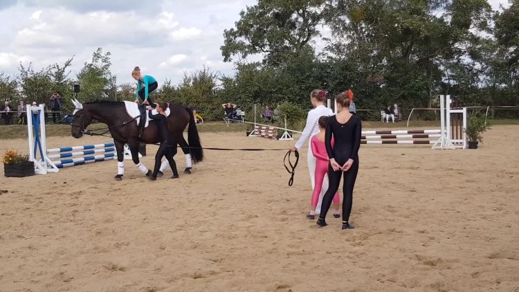 skotnica_1_woltyzerka_2018.mp4