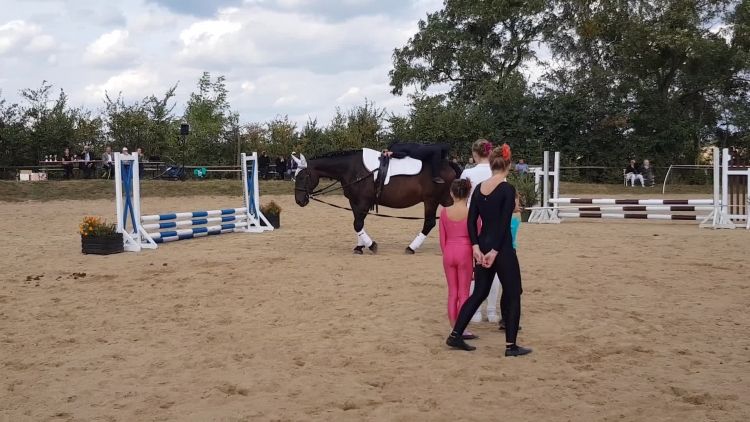 skotnica_2_woltyzerka_2018.mp4