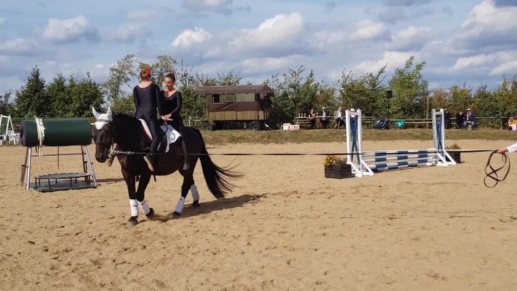 skotnica_4_woltyzerka_2018.mp4