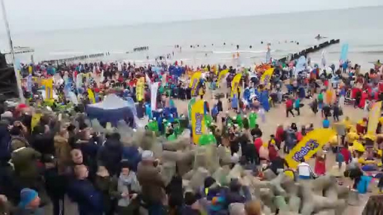 morsy_jelenin_mielno_11022019.mp4