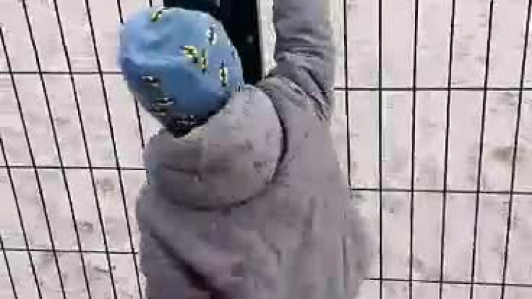 video-1550869933.mp4