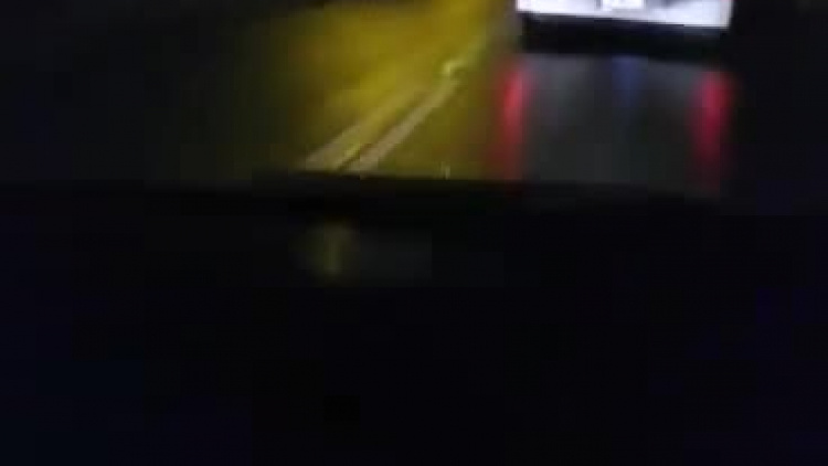 video-1552832047.mp4