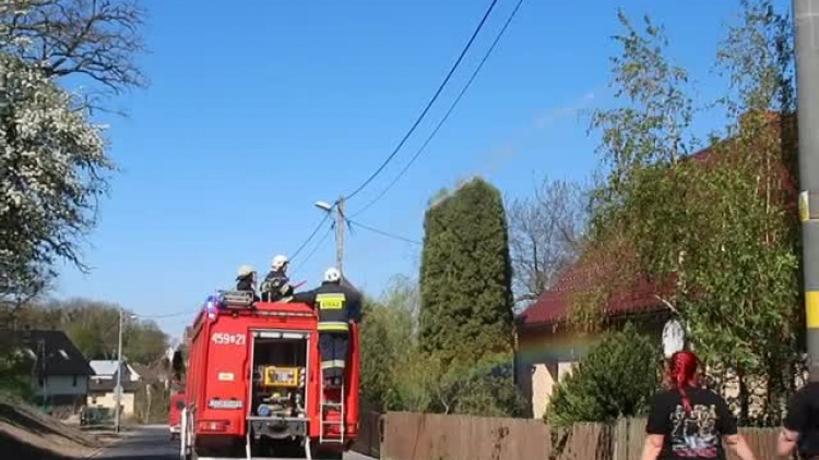 smigus-dyngus_strazacki_2_cedynia_2019.mp4