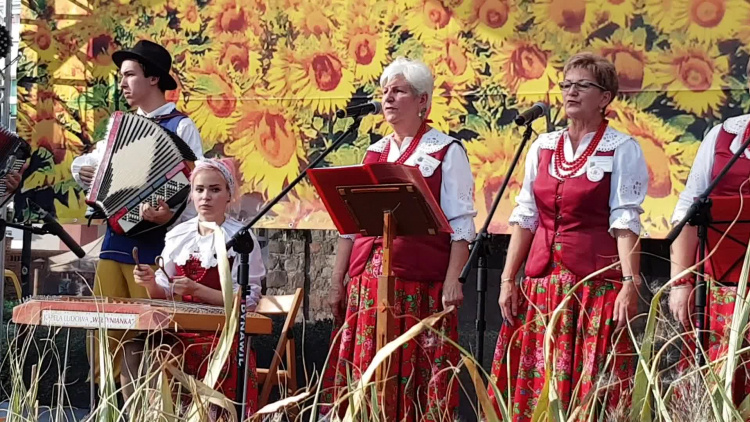 weltynianka_na_dozynkach_gryfino_2019.mp4