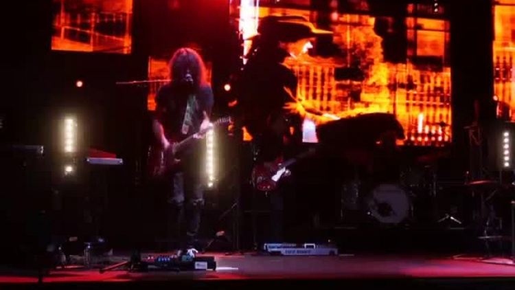 wilki_1_gryfino_2019.mp4