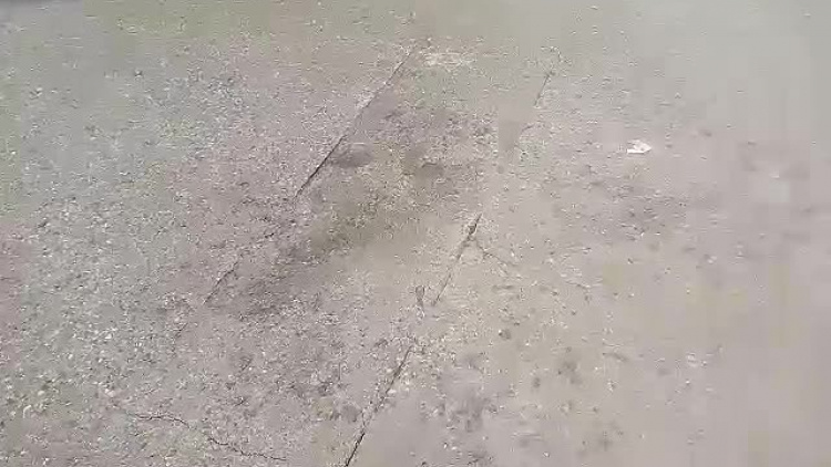 video-1569929668.mp4