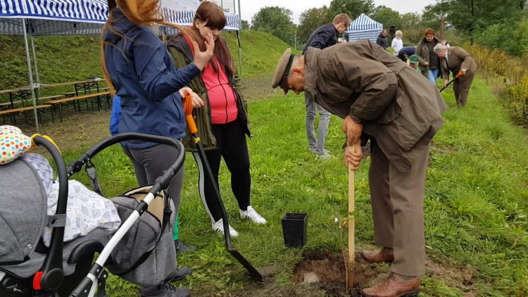 jedno_dziecko-jedno_drzewo_cedynia_a_2019.mp4