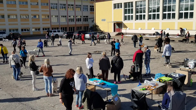 gryfinski_piknik_z_psem_2_2019.mp4