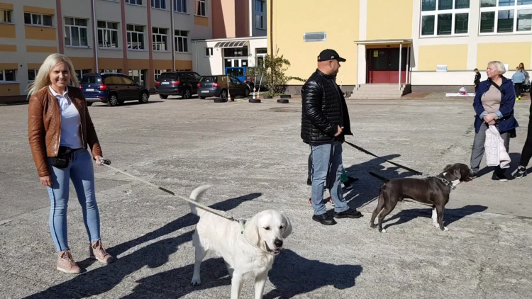 gryfinski_piknik_z_psem_1_2019.mp4