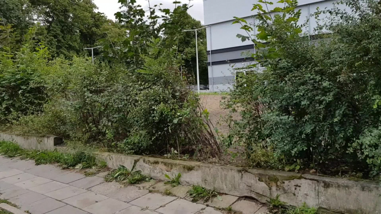 hala_sportowa_2_27082020.mp4