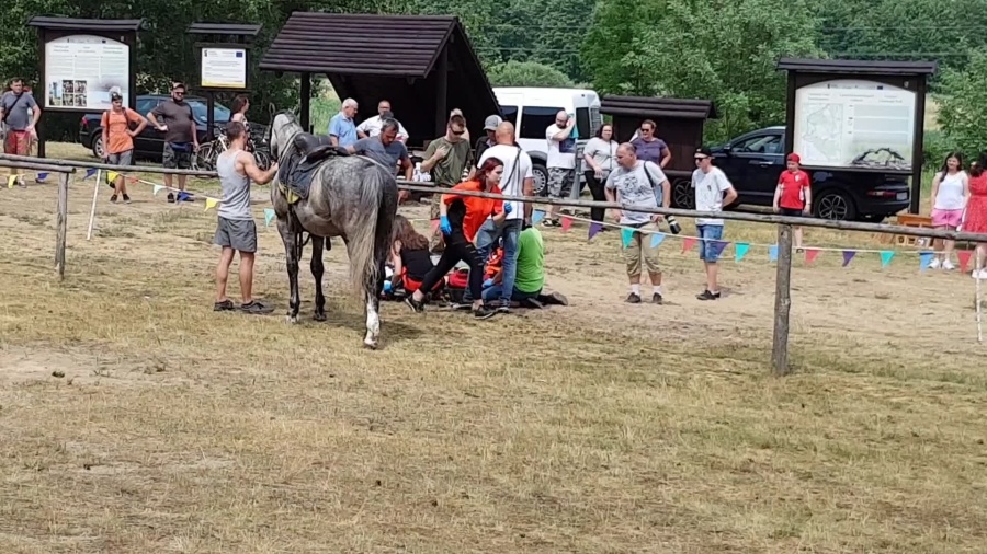 woltyzerka-dni-cedyni-2021.mp4