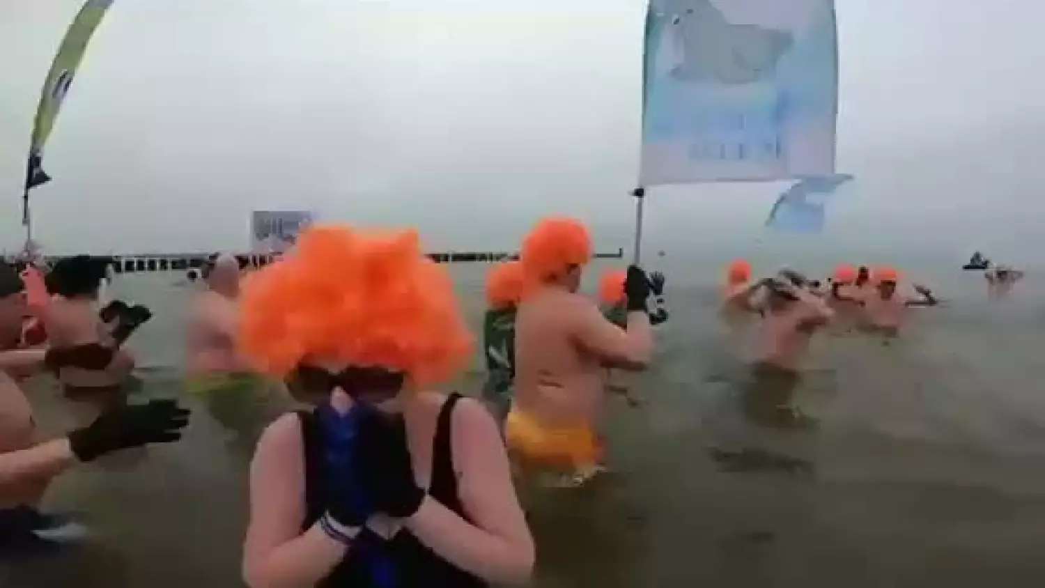 morsy-jelenin-w-mielnie-2023.mp4