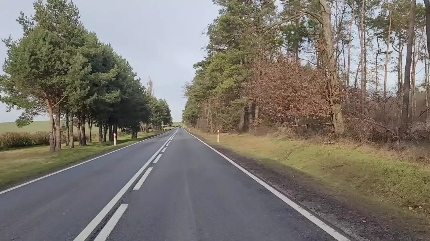 jelenie-biegna-przez-droge-gm-chojna-2023.mp4