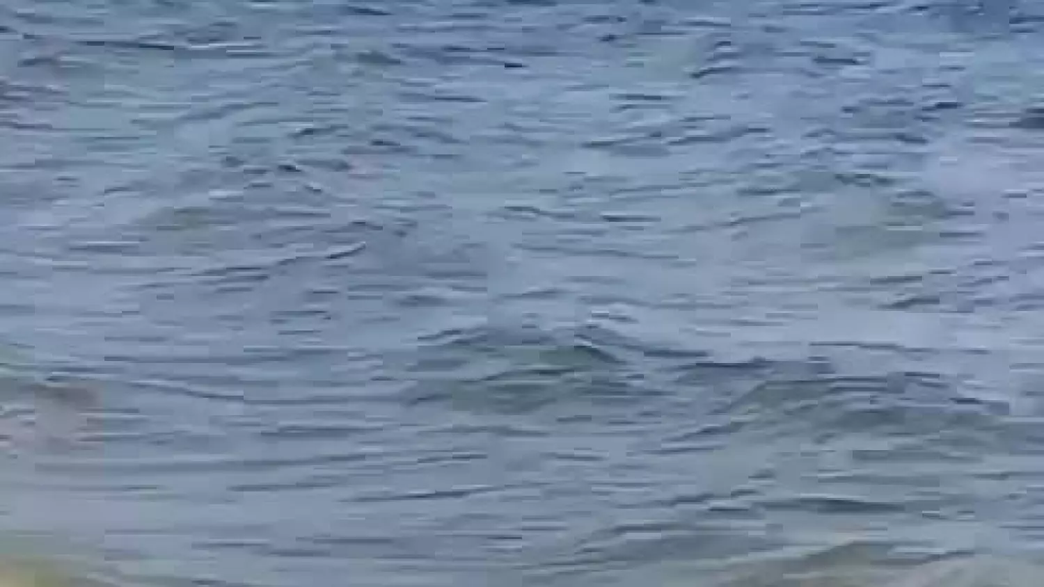 manewry-sluzb-ratowniczych-dzieci-na-lodzi-moryn-10032024-00000-00255.mp4