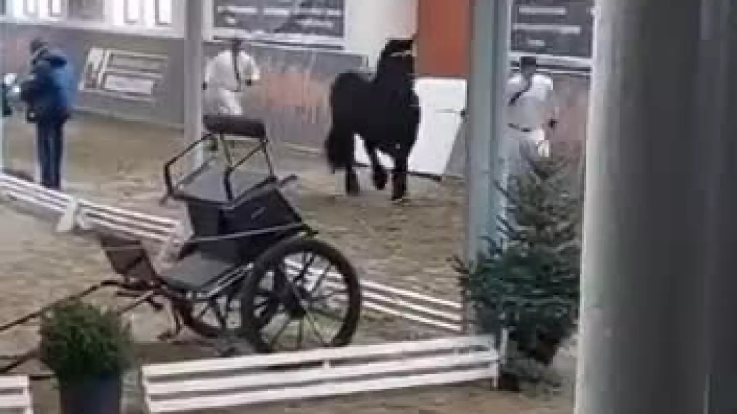 ogier-senior-stanislawa-martyki.mp4