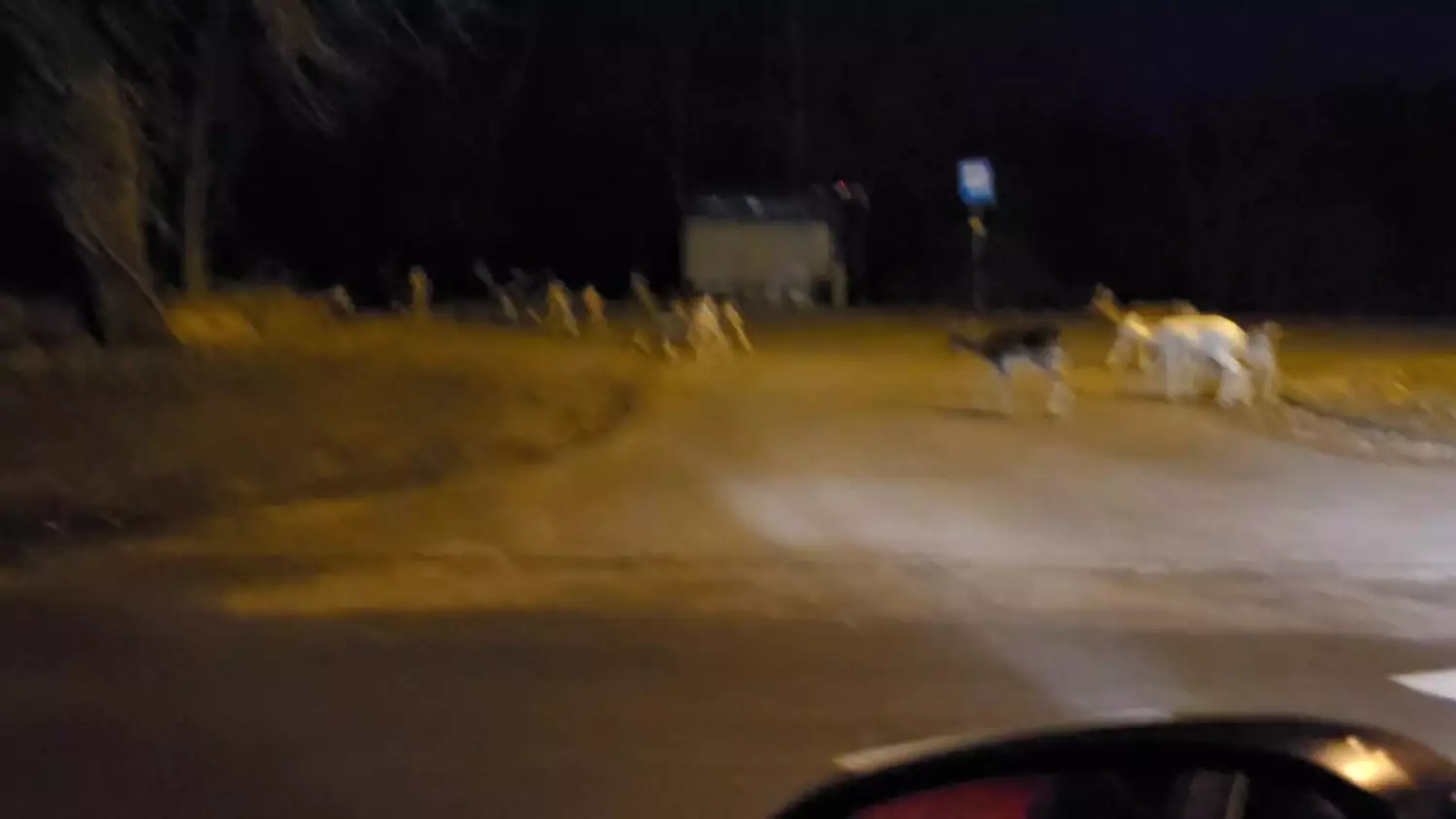 daniele-w-bielinku-2-marzec-2024-r.mp4