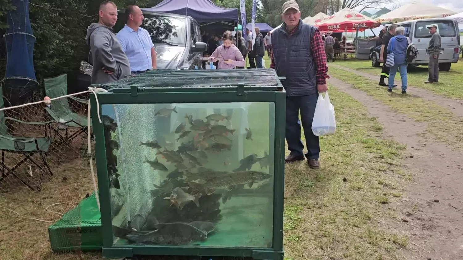 akwarium-regalicy-na-zabnickim-lecie-z-rybka-1506202.mp4