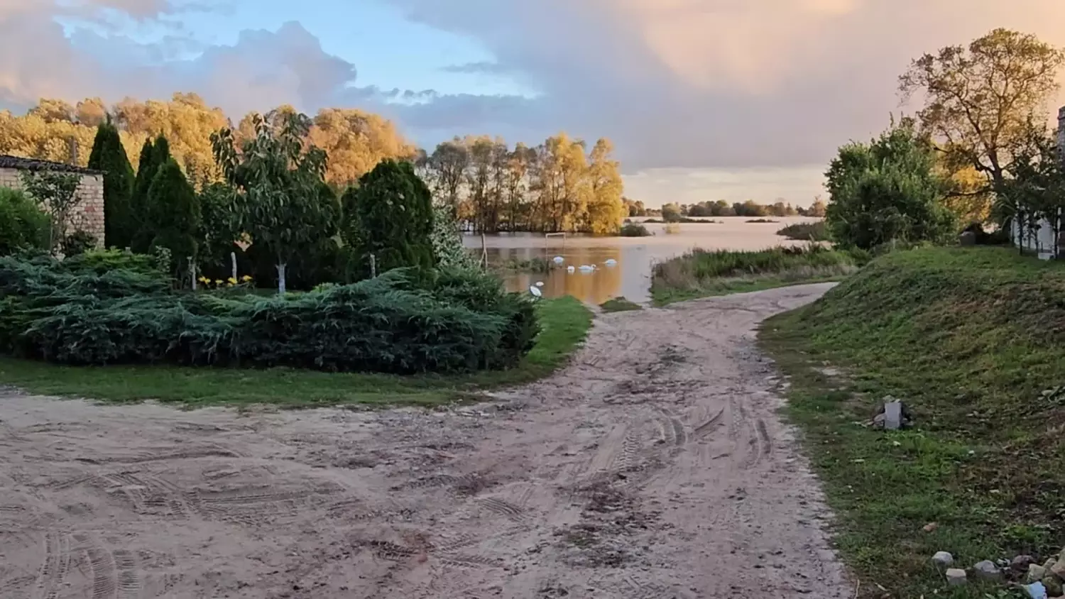 labedzie-na-boisku-powodz-stary-kostrzynek-28092024.mp4