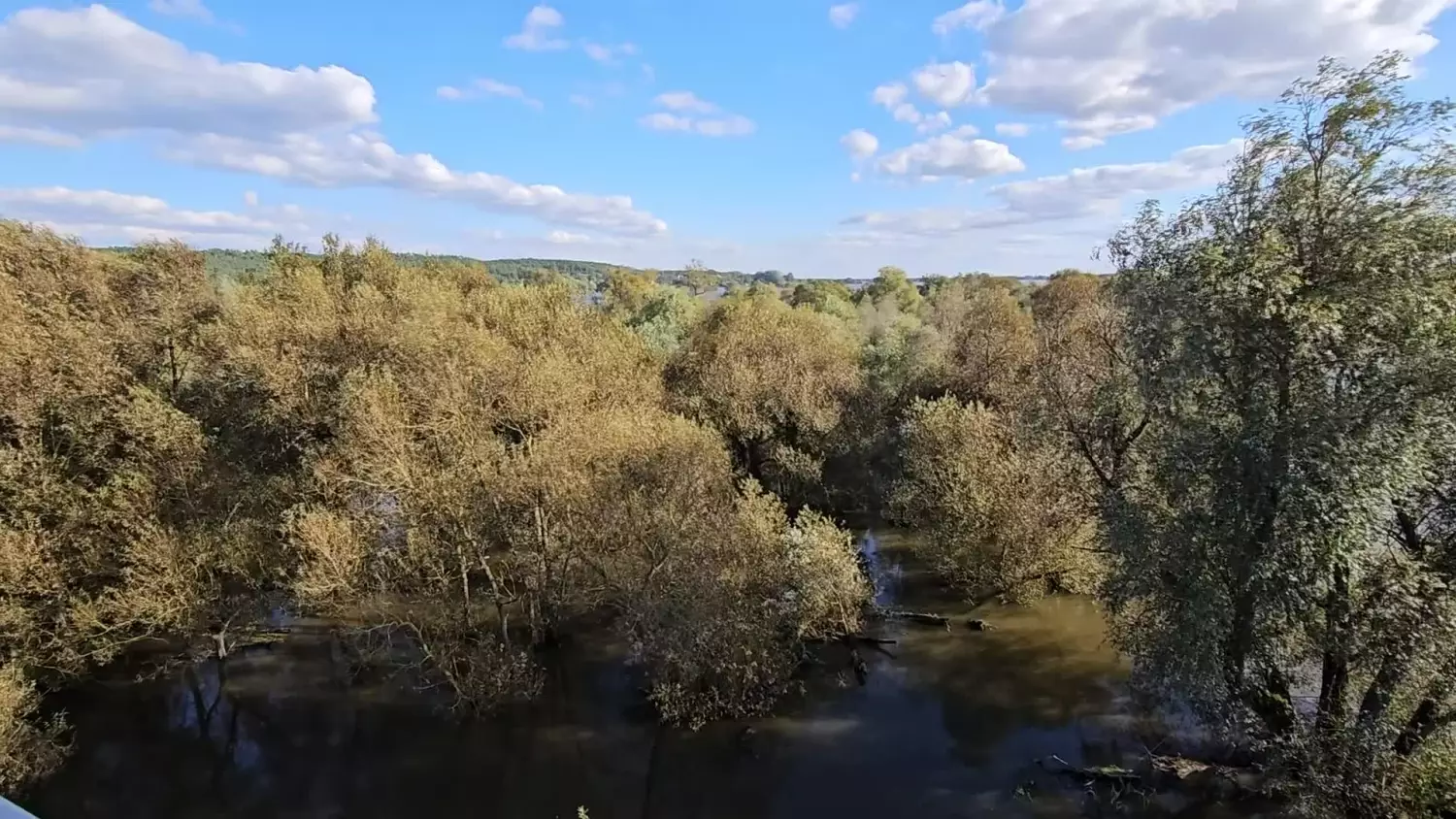 powodz-widok-z-mostu-w-siekierkach-30092024.mp4