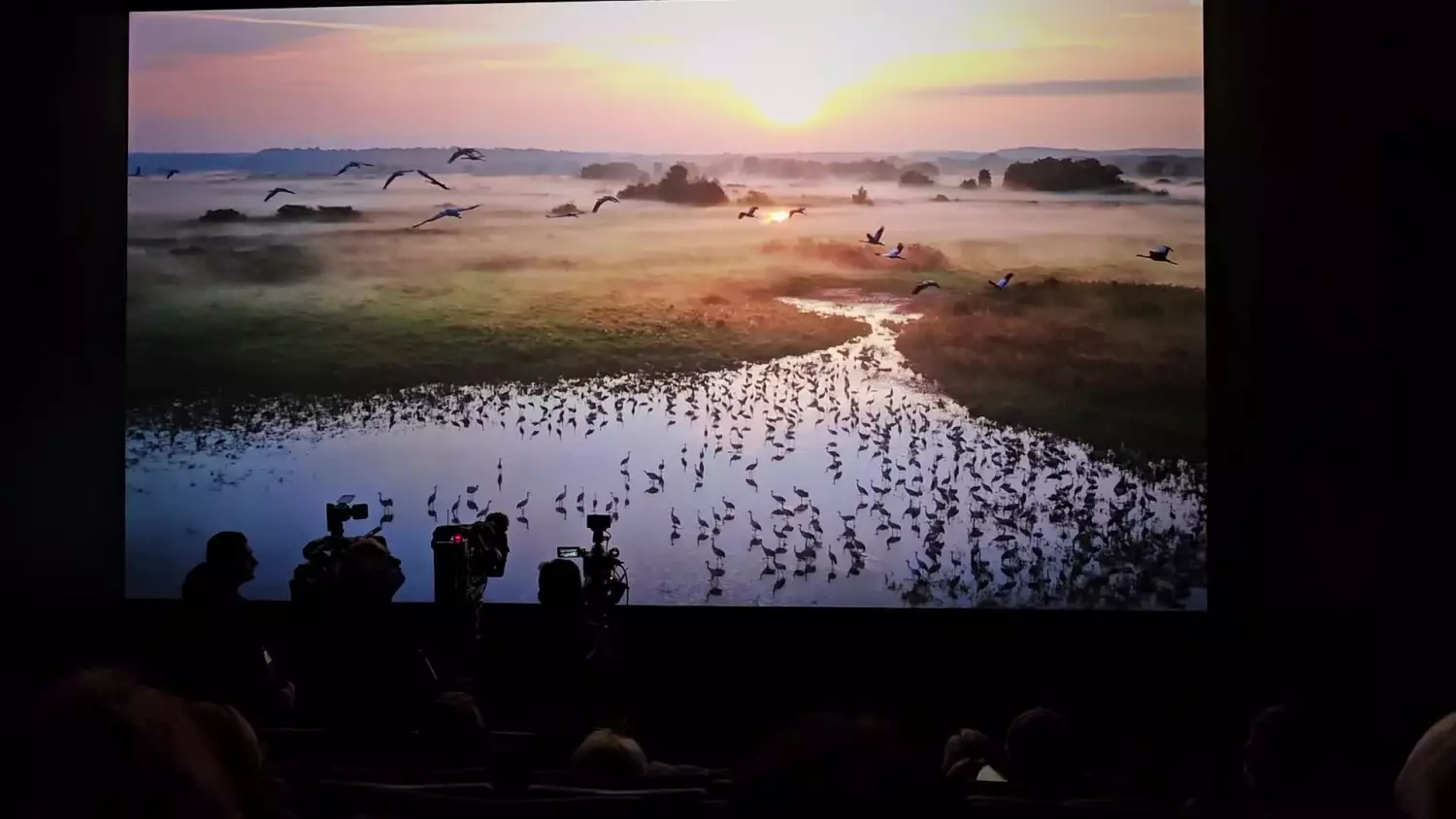 dolina-dolnej-odry-spot-2-08112024.mp4