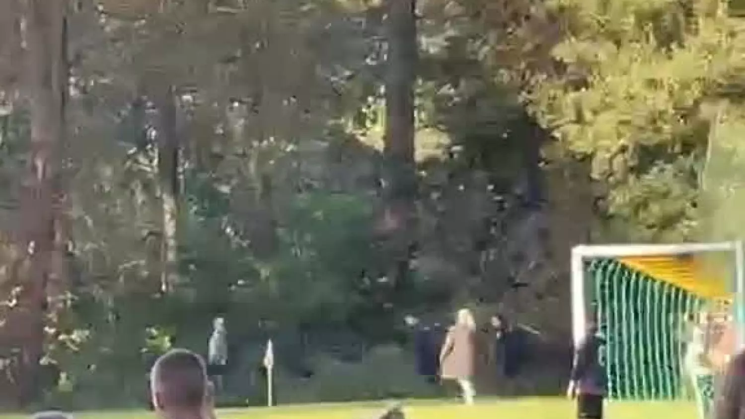 interwencja-policji-w-zielinie-1-27092025.mp4